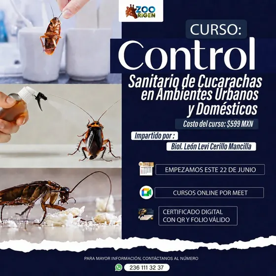 Curso control sanitario de cucarachas