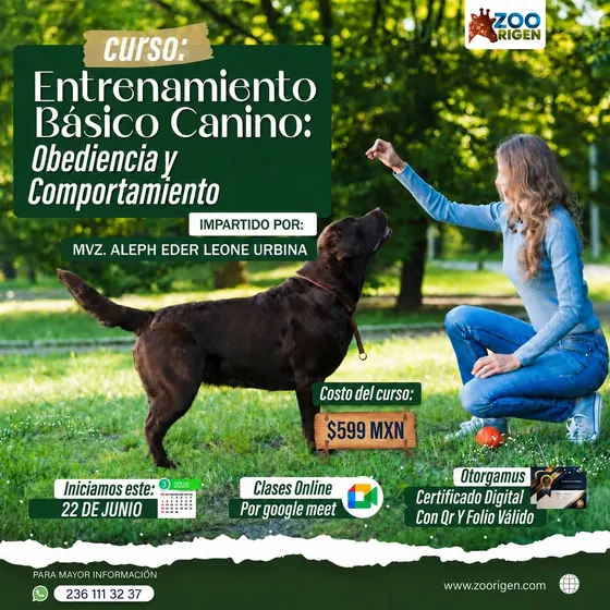 Curso manejo integral de colmenas