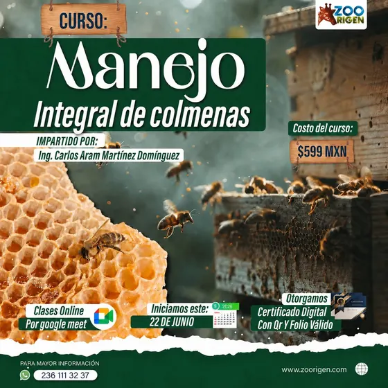 Curso entrenamiento básico canino