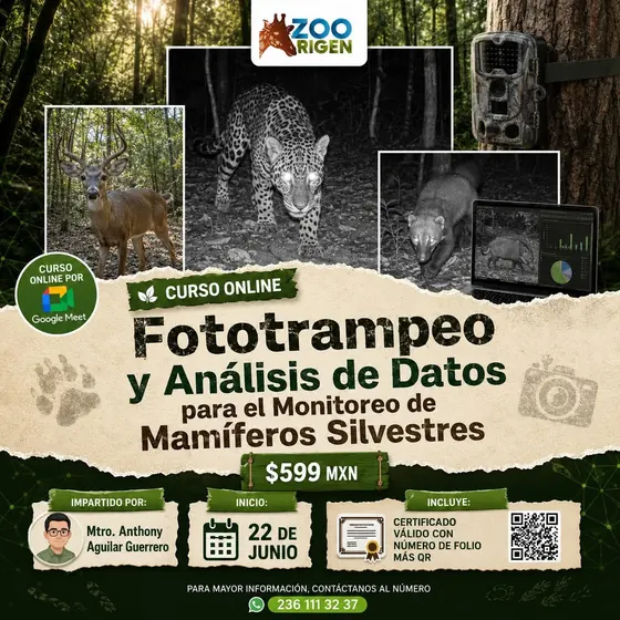 Curso entomología forense