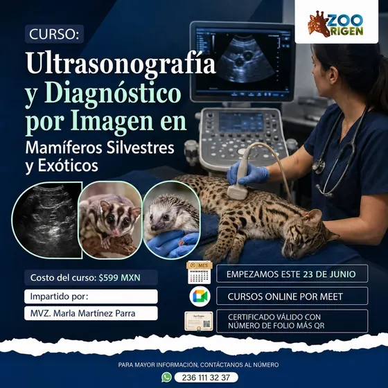 Curso fototrampeo y análisis de datos