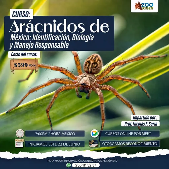 Curso ultrasonografía en mamíferos